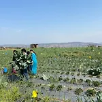 Hotel Lake Paradise Mahabaleshwar