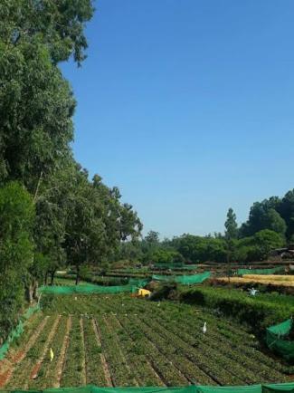 Strawberry Homes Hotel 3*