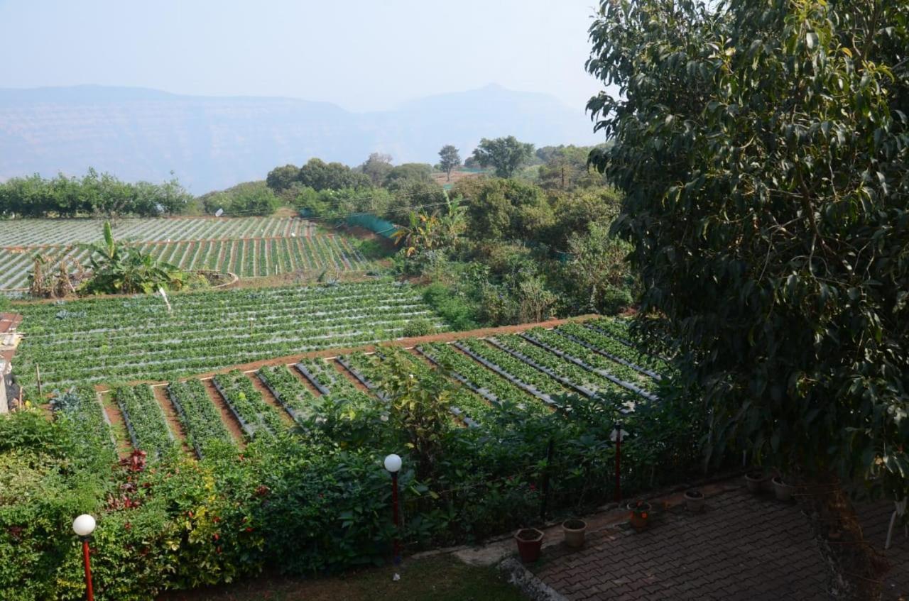Mount View Bungalow 3* Mahabaleshwar