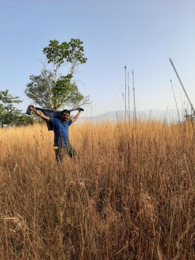Jungle Valley Agriculture