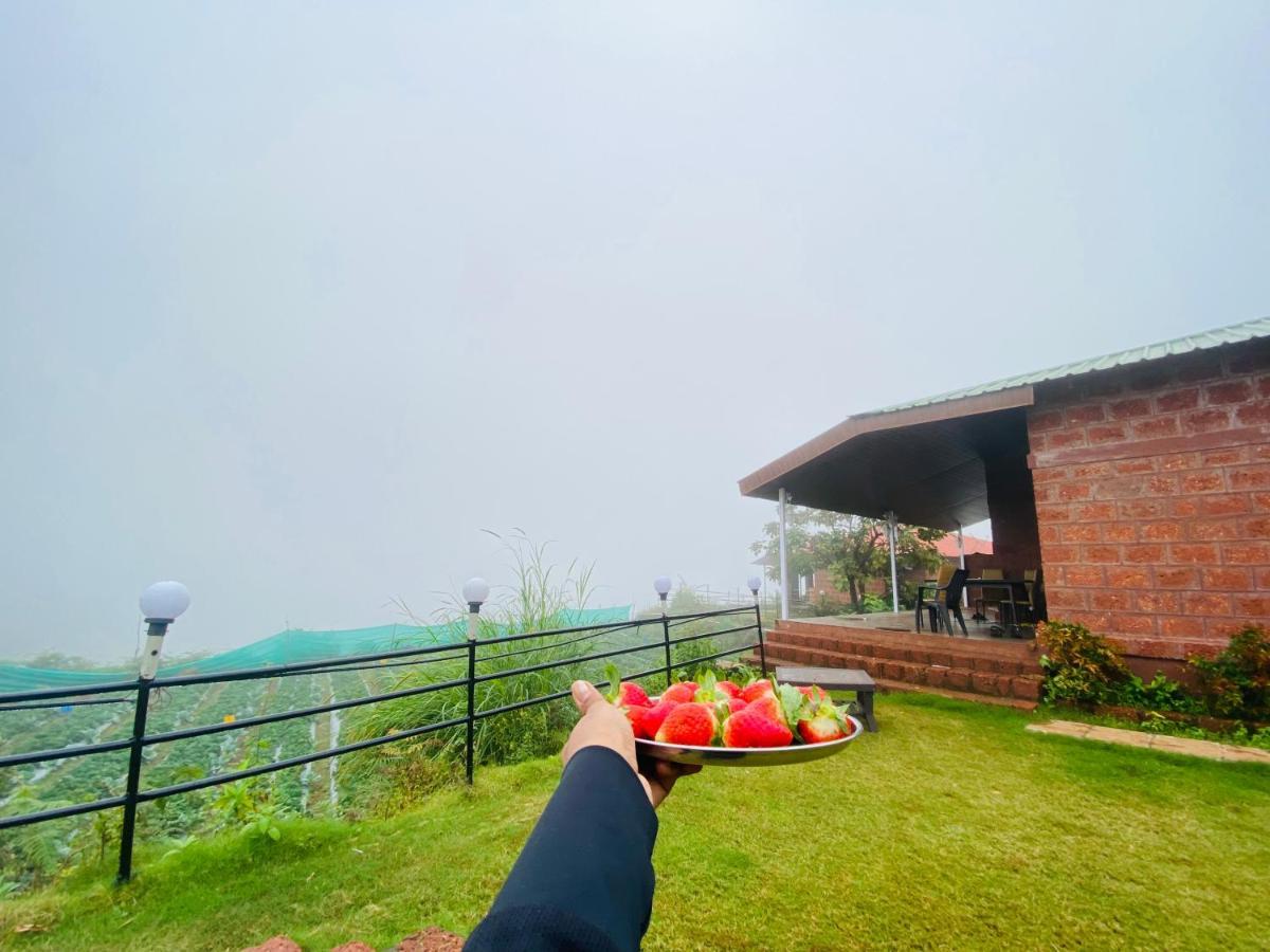 Lifeline - Miracle 5bhk Infinity Pool With Breathtaking Valley View And Huge Lawn Area * Mahabaleshwar