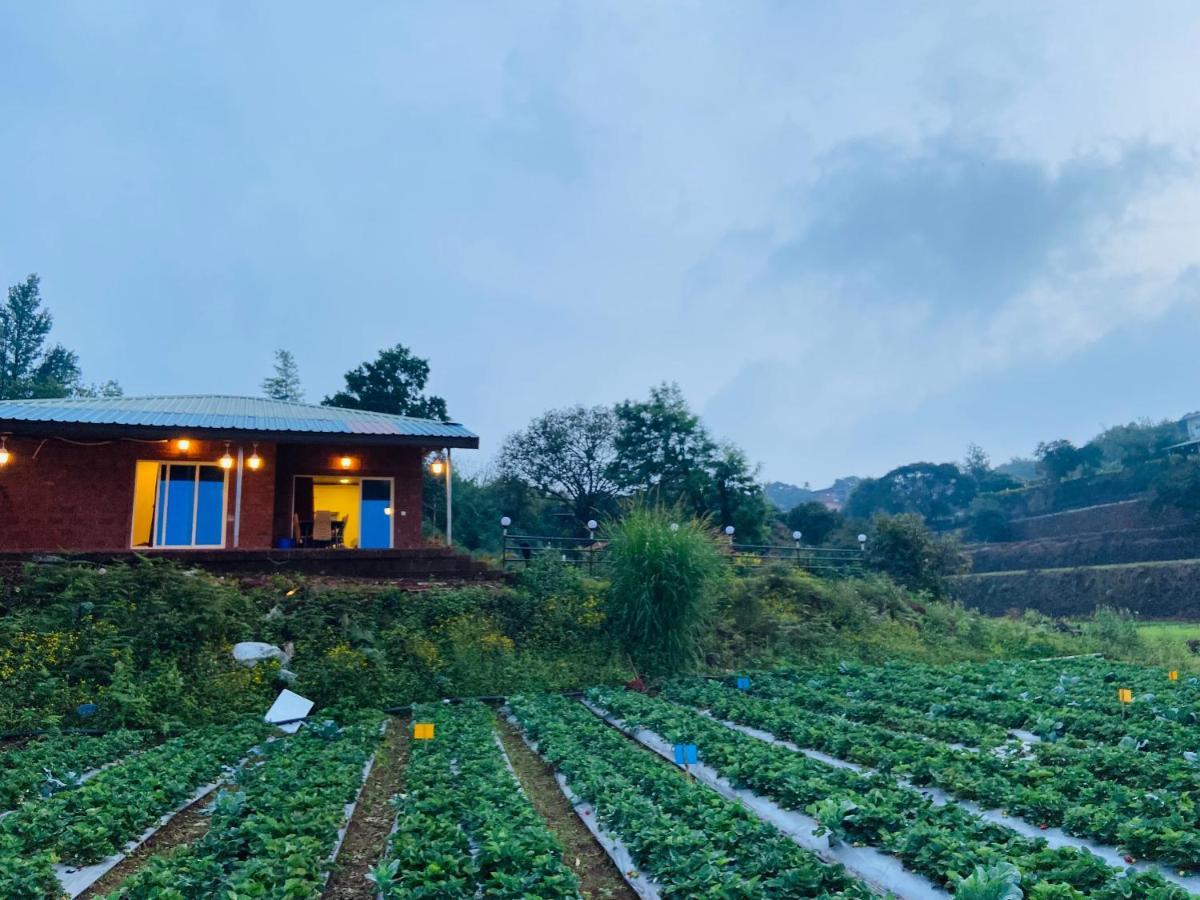 Villa Lifeline - Miracle 5bhk Infinity Pool With Breathtaking Valley View And Huge Lawn Area Mahabaleshwar