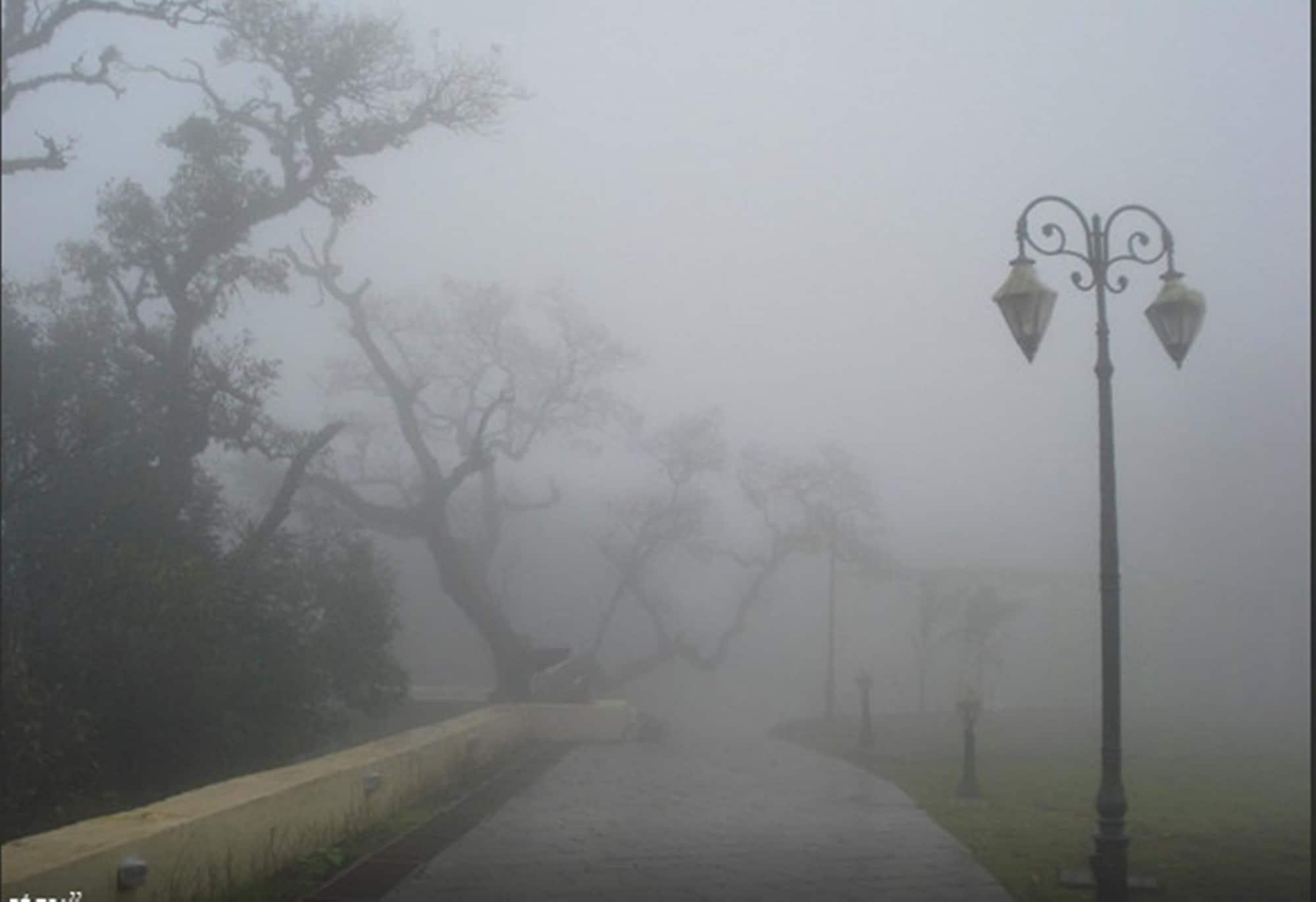 Regenta Mpg Club Resort Mahabaleshwar