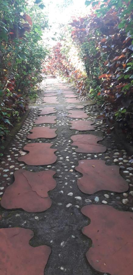 Strawberry Country * Mahabaleshwar