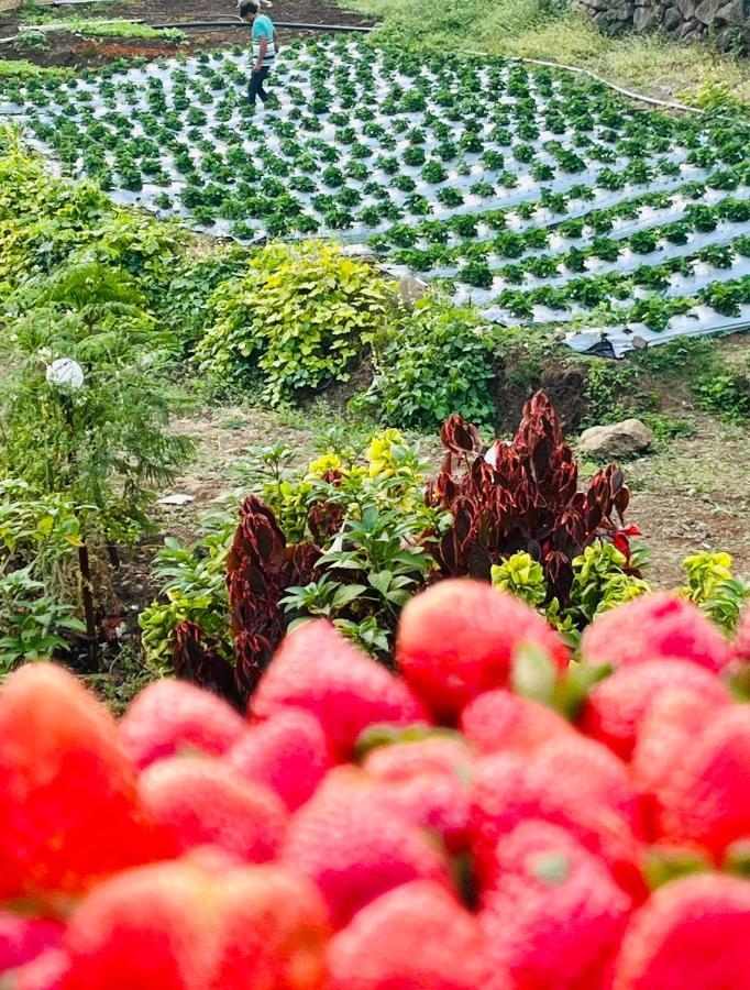 Kalasita Mahabaleshwar