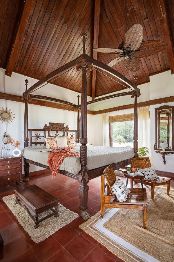 Villa Lohonostays Gold Mist *