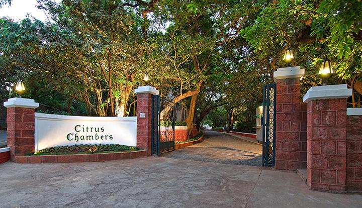Citrus Chambers