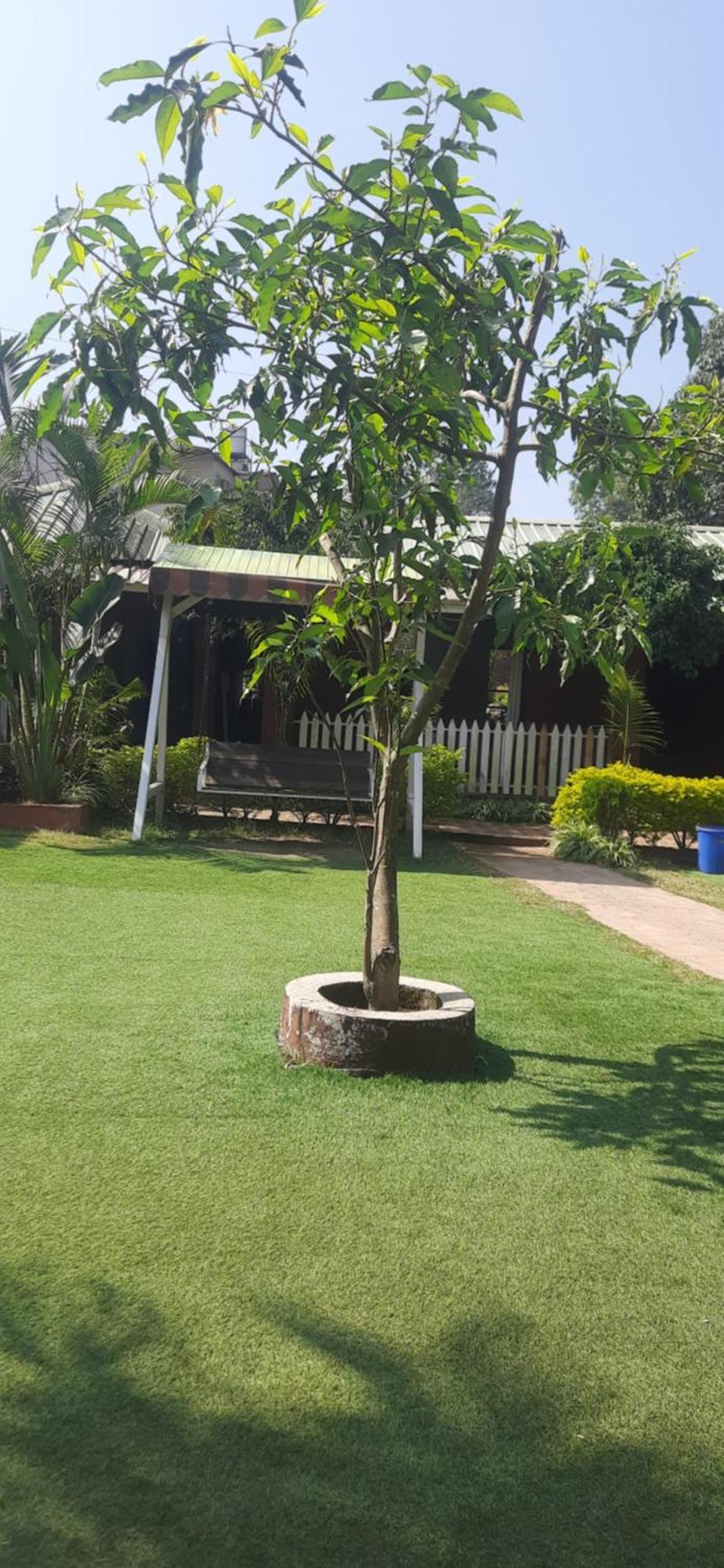 Hotel Oakwood 4*