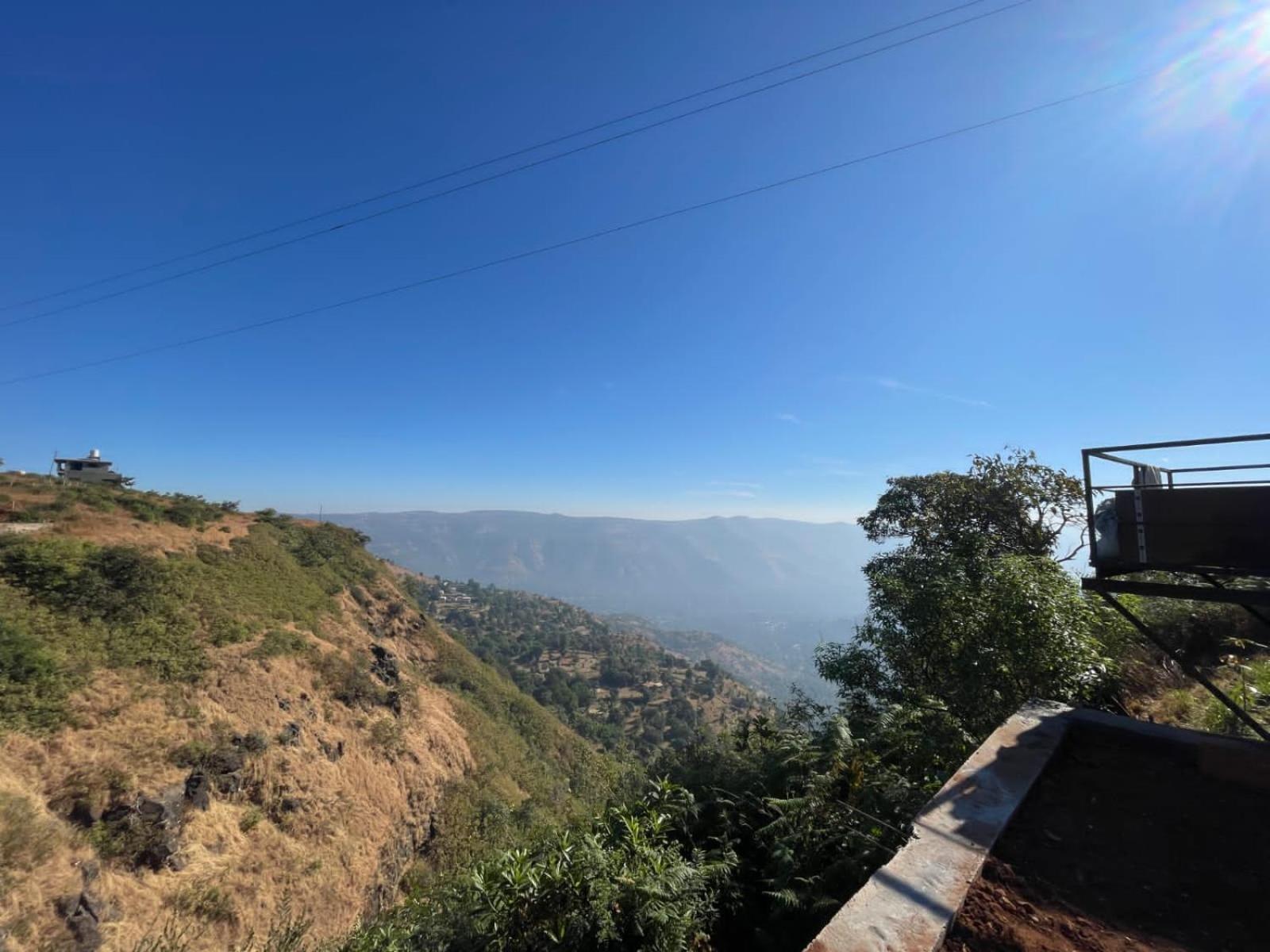 Tanvi Mahabaleshwar