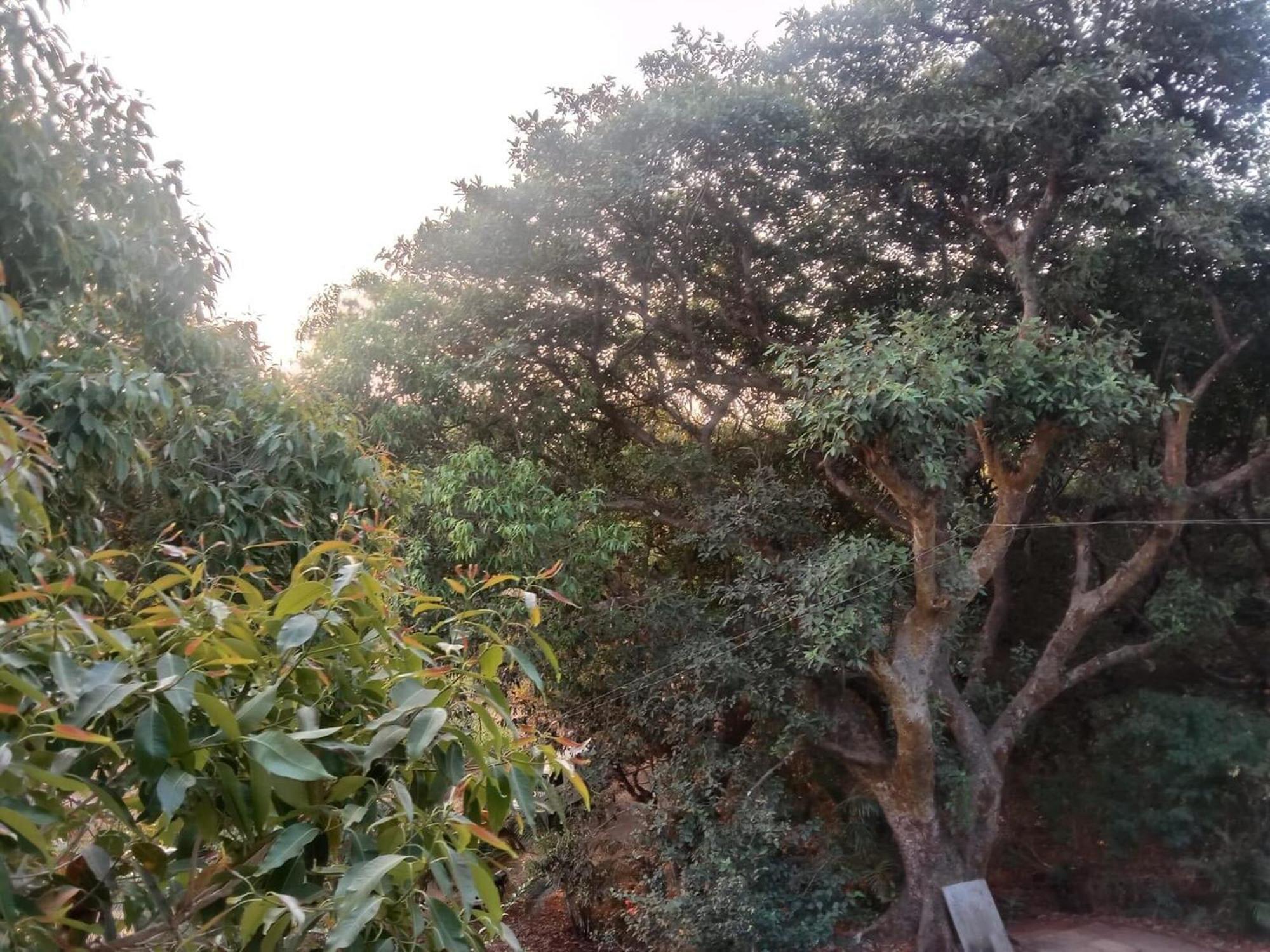 Villa Devansh Mahabaleshwar