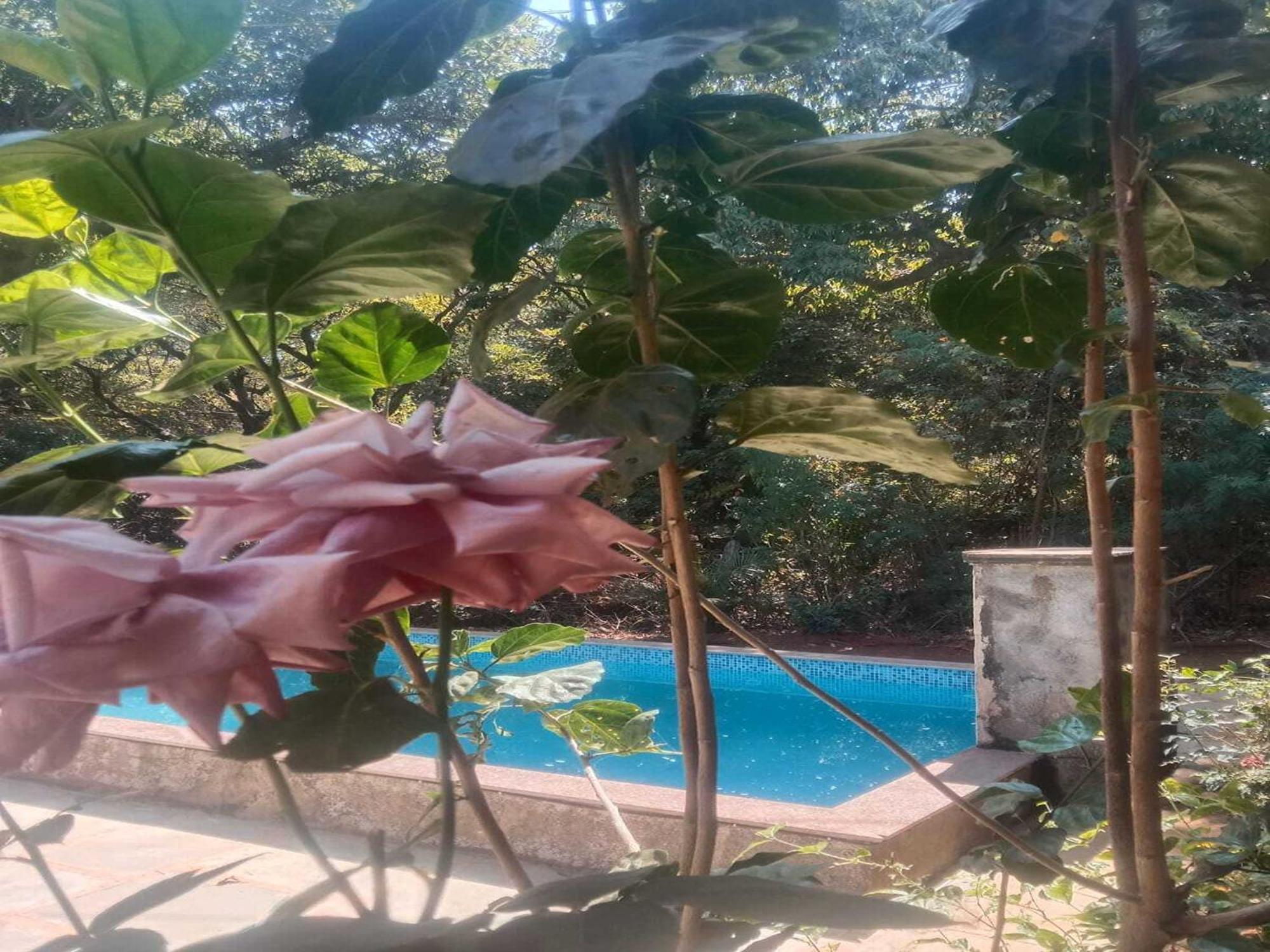 Villa Devansh Mahabaleshwar