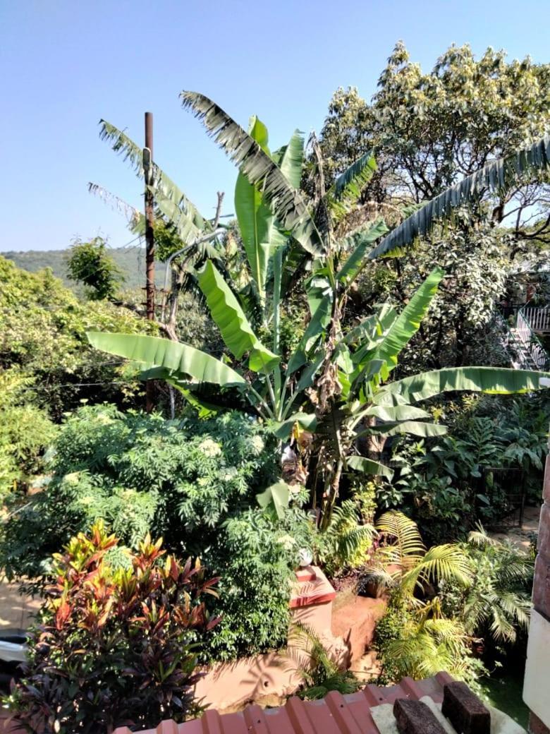 Guest house Girichintan Bunglow *