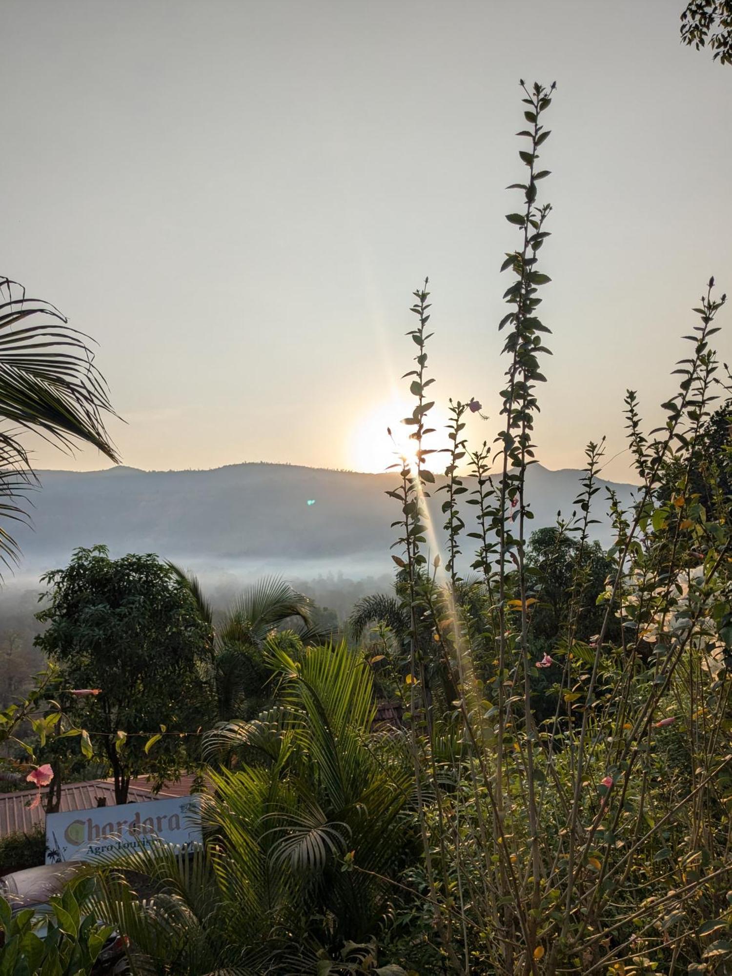 Chardara Agrotourism & Campsite *