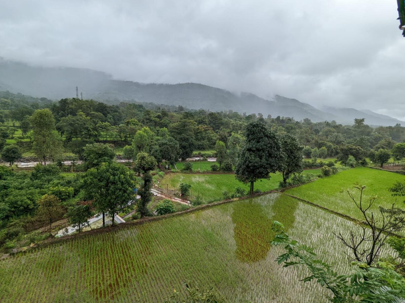 Chardara Agrotourism & Campsite *