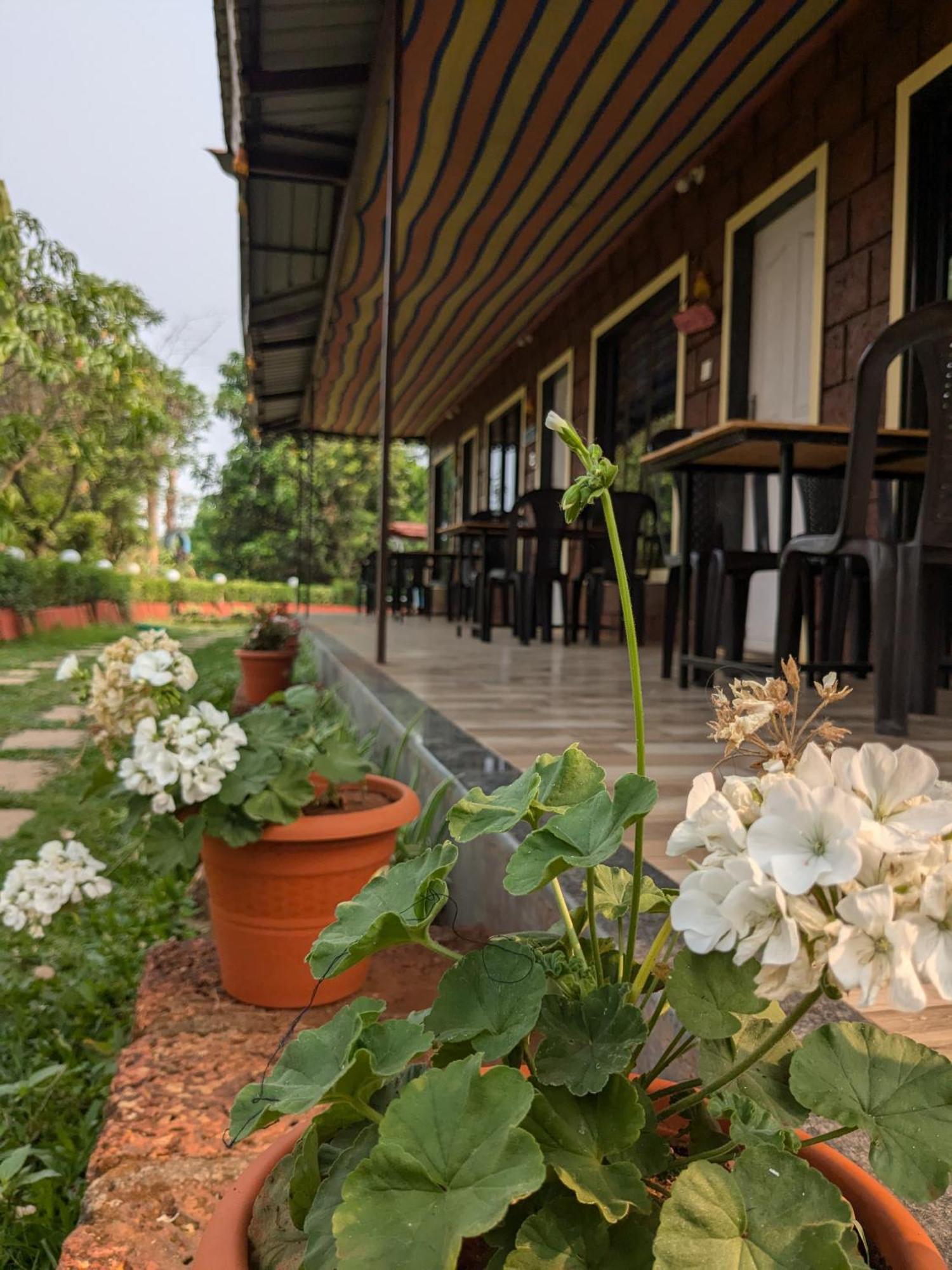 Chardara Agrotourism &