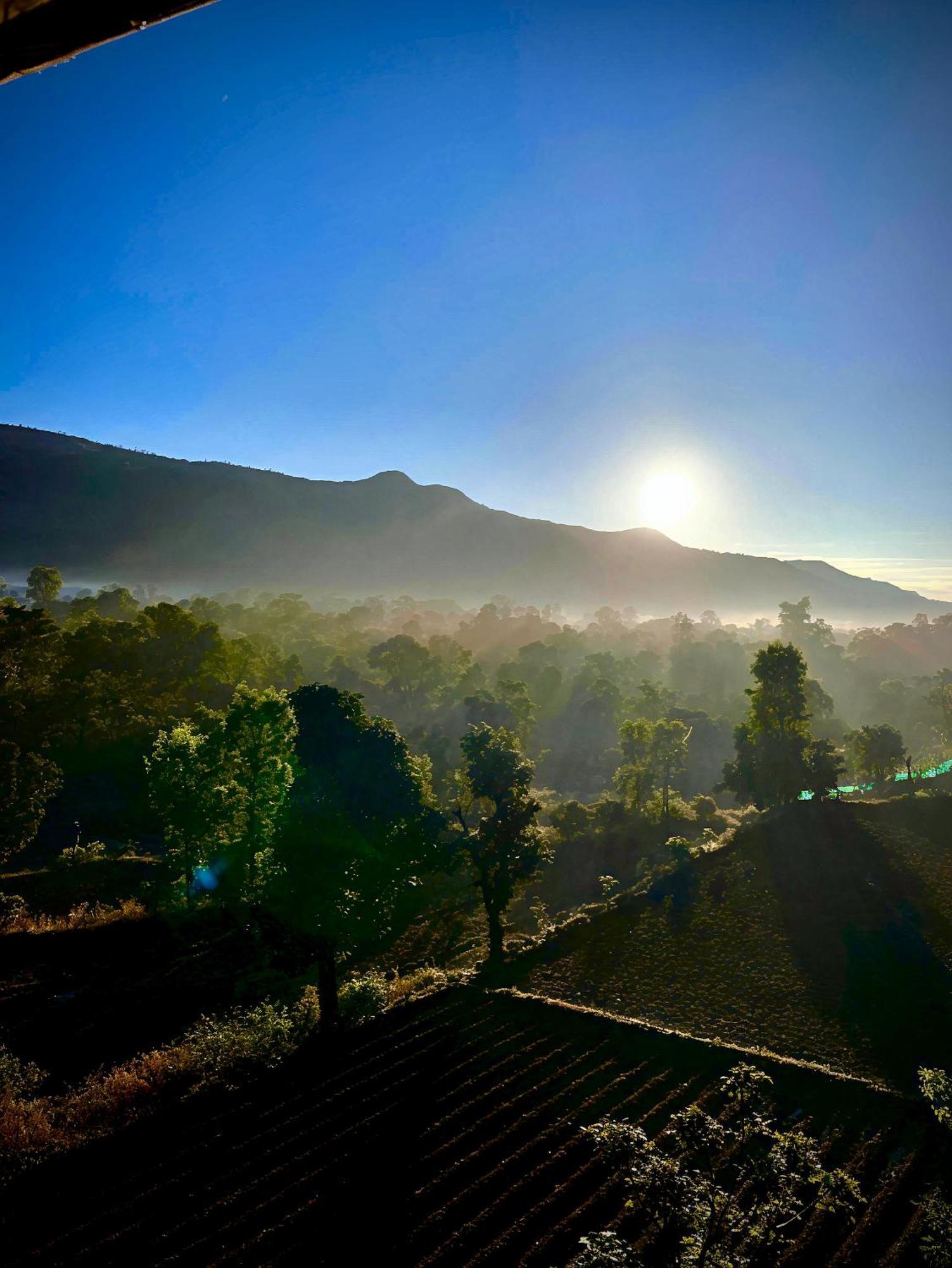 Chardara Agrotourism & * Mahabaleshwar