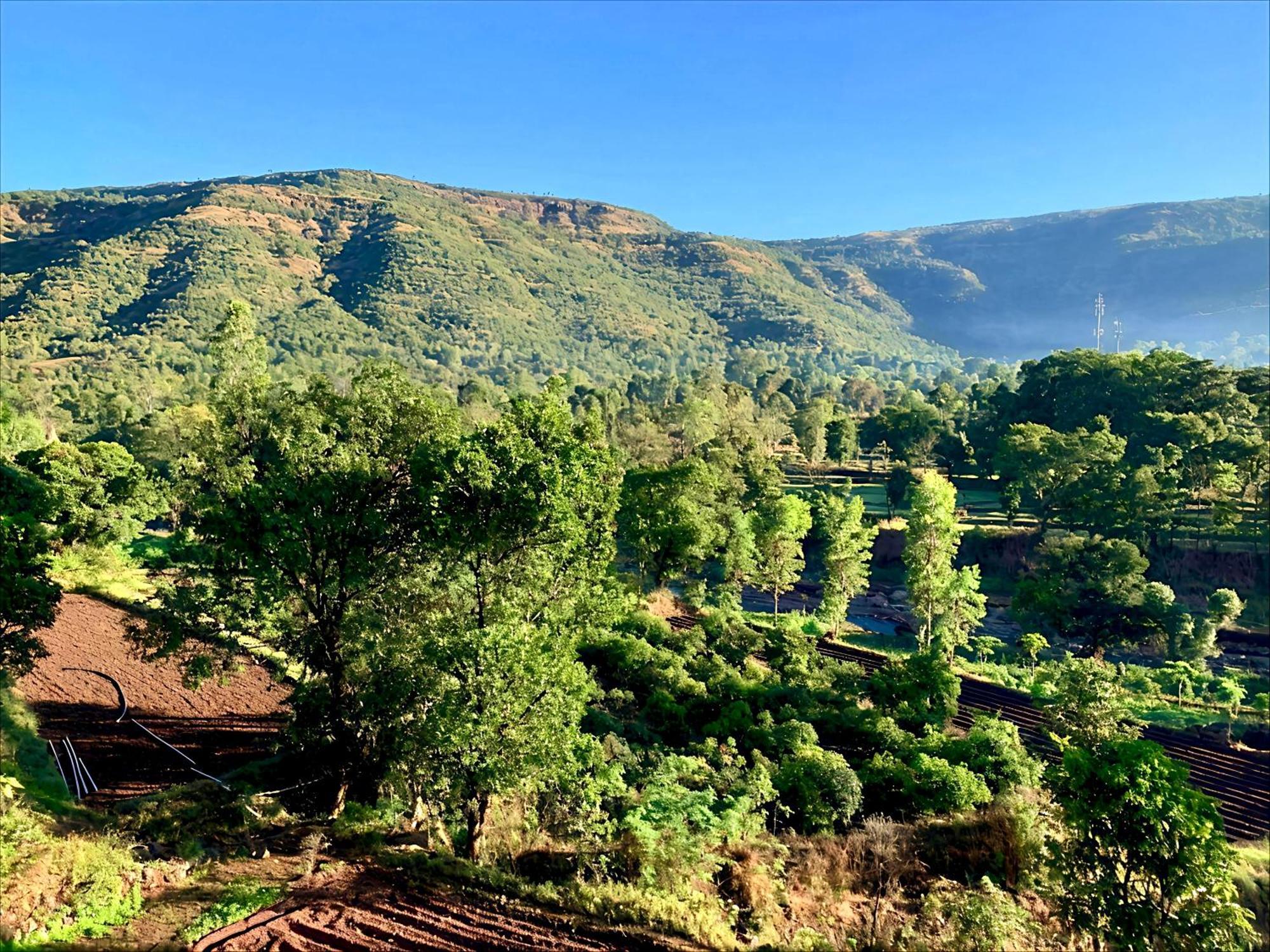 Chardara Agrotourism & *
