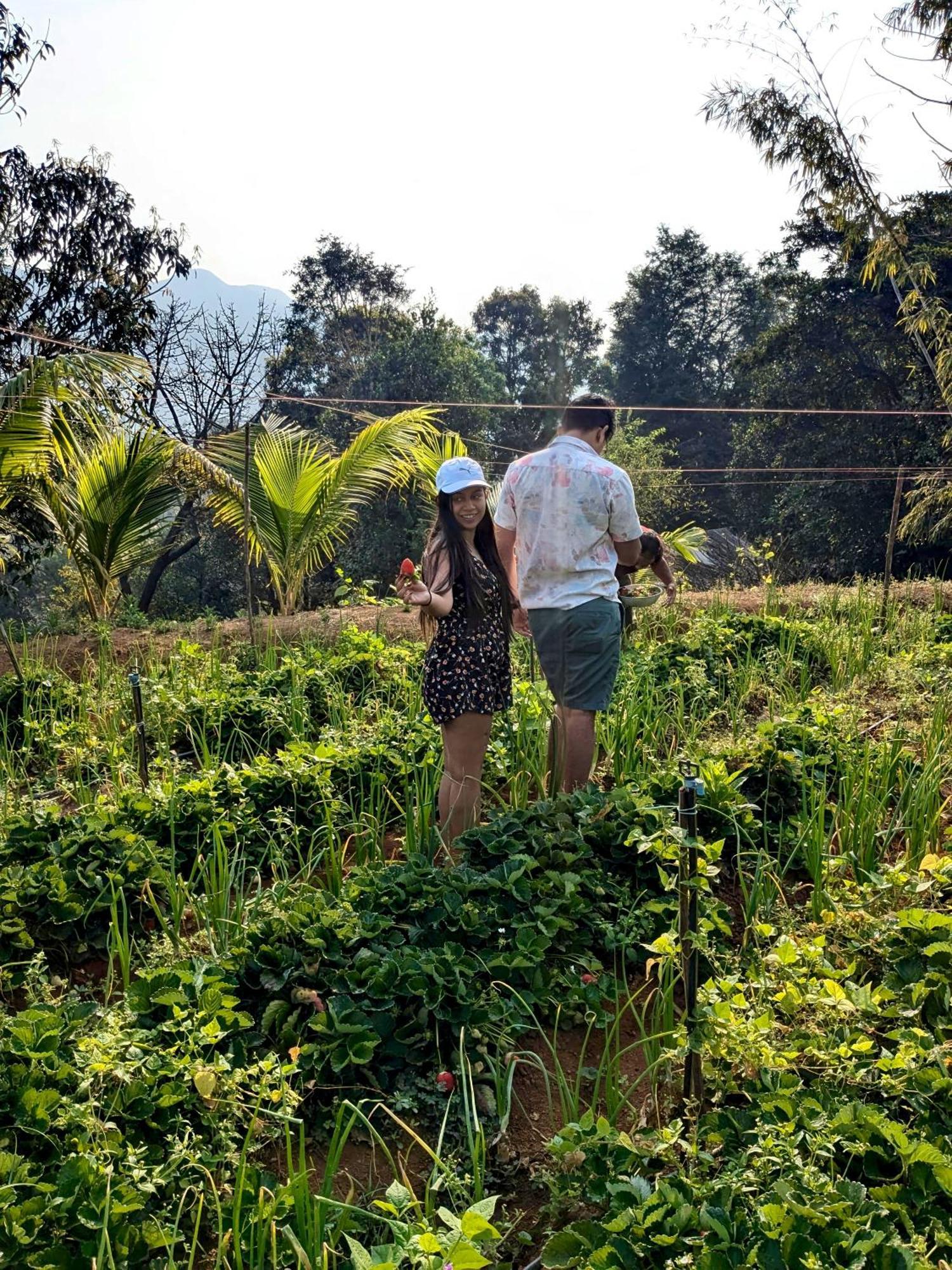 Campsite Chardara Agrotourism & Mahabaleshwar