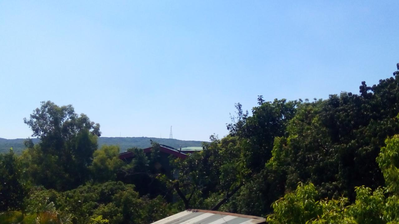 Tree Hotel Mahabaleshwar
