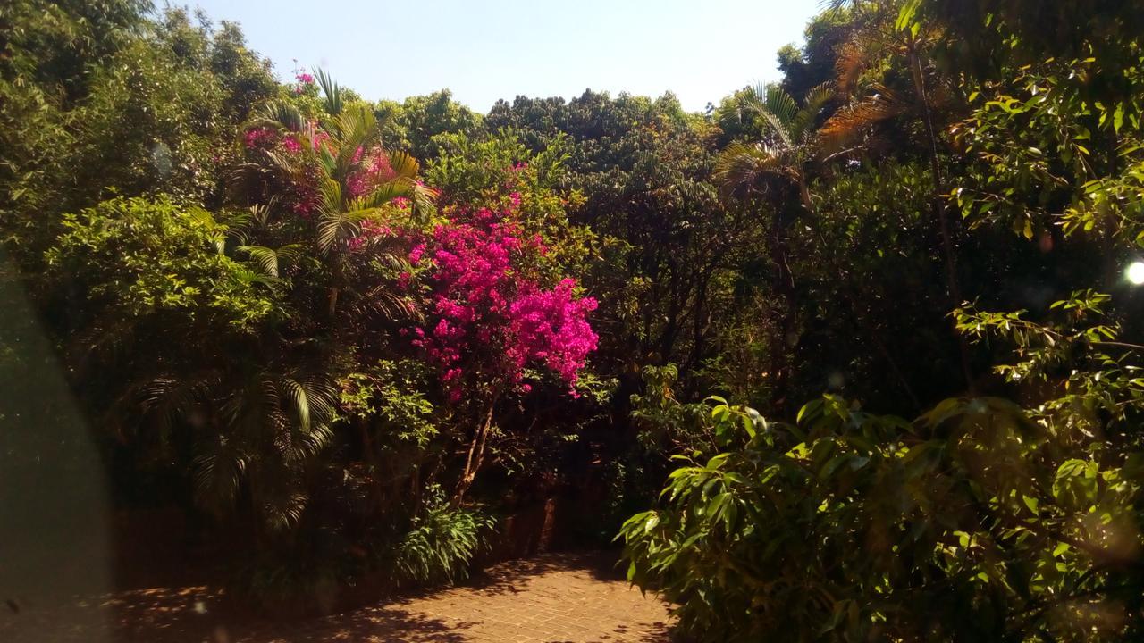 Hotel Tree Mahabaleshwar