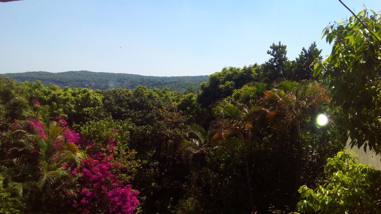 Hotel Tree