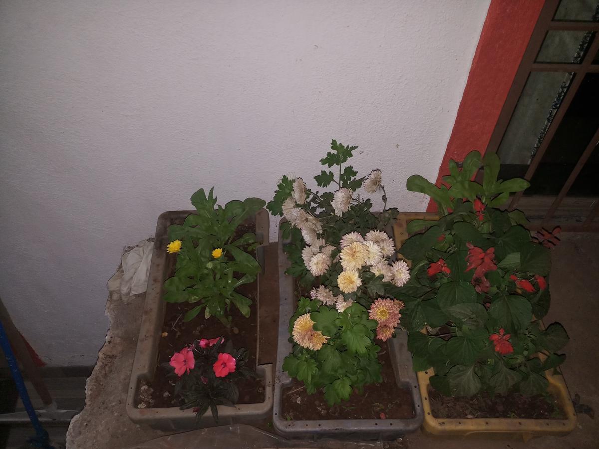 Omkar Residency Hotel Mahabaleshwar