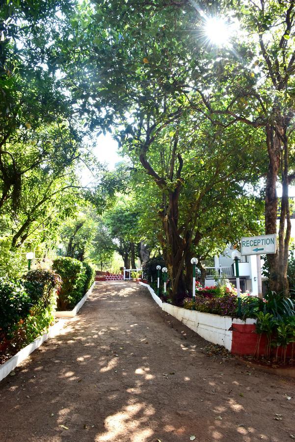 Vimal Holidays 3*