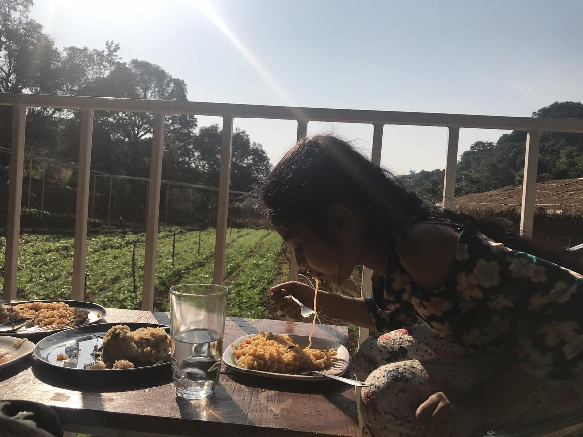 Jungle Valley Agriculture Holiday park