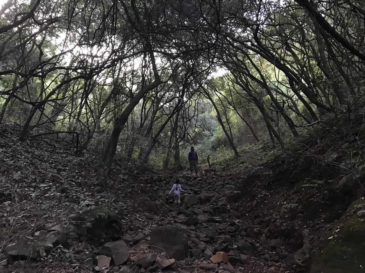 Jungle Valley Agriculture Mahabaleshwar