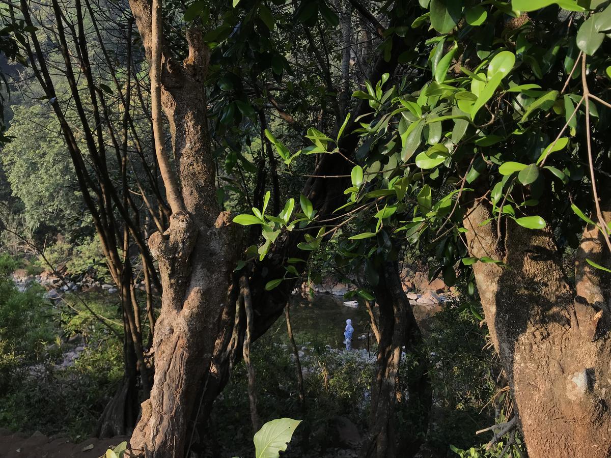 Holiday park Jungle Valley Agriculture Mahabaleshwar