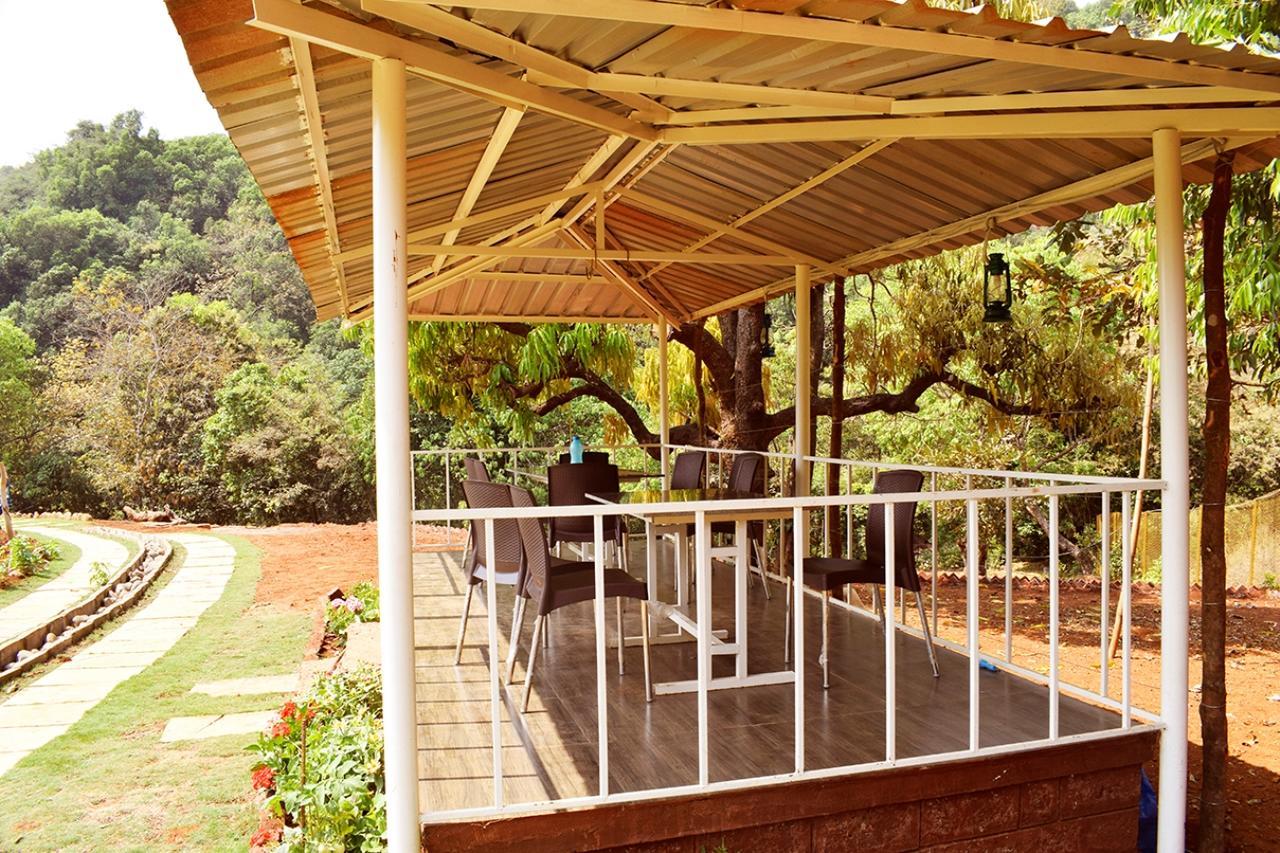 Jungle Valley Agriculture Mahabaleshwar