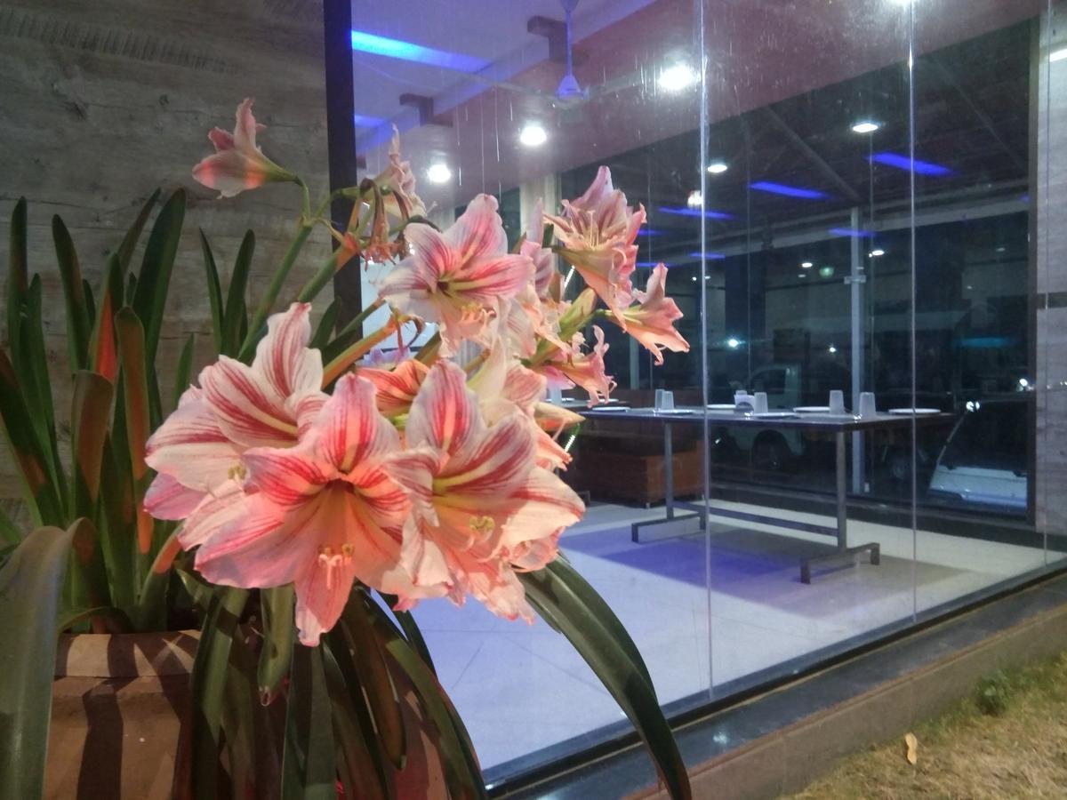 Jk Hotels Motel Mahabaleshwar