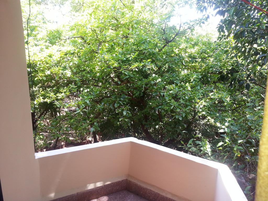 Tree Hotel 2*