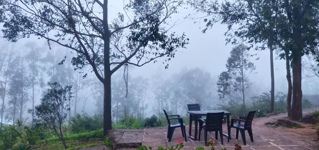Lake View Homestay *