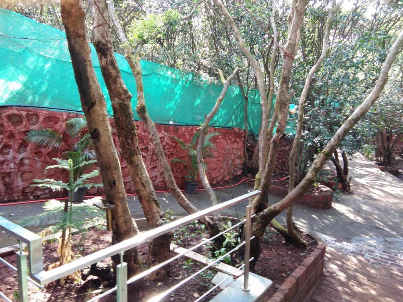 Matoshree Bungalow And Cottages