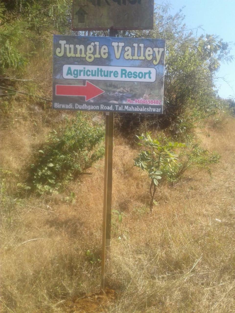 Holiday park Jungle Valley Agriculture