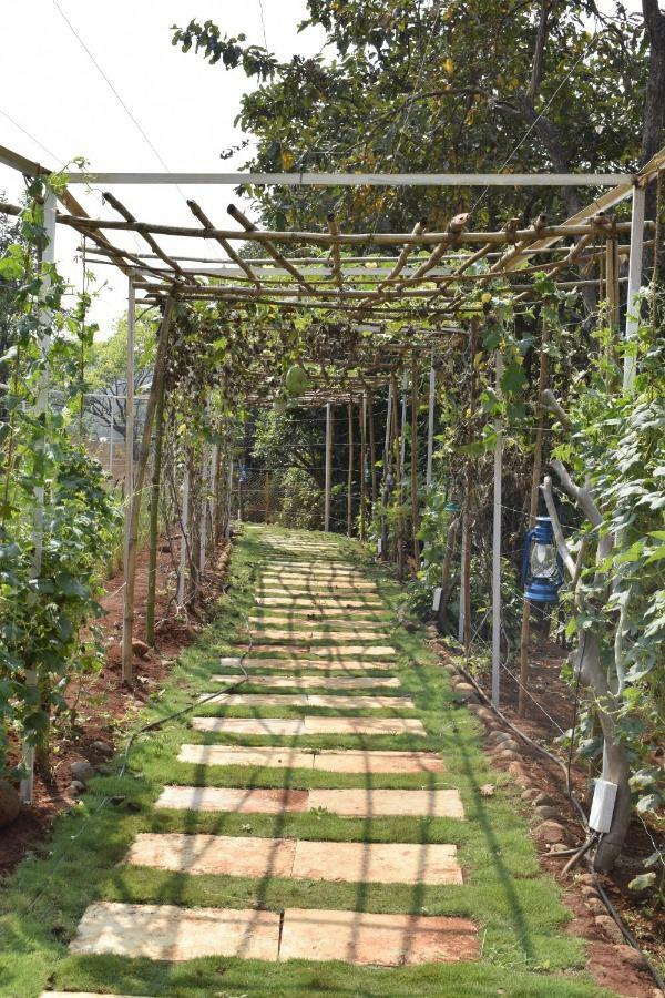 Jungle Valley Agriculture 3*