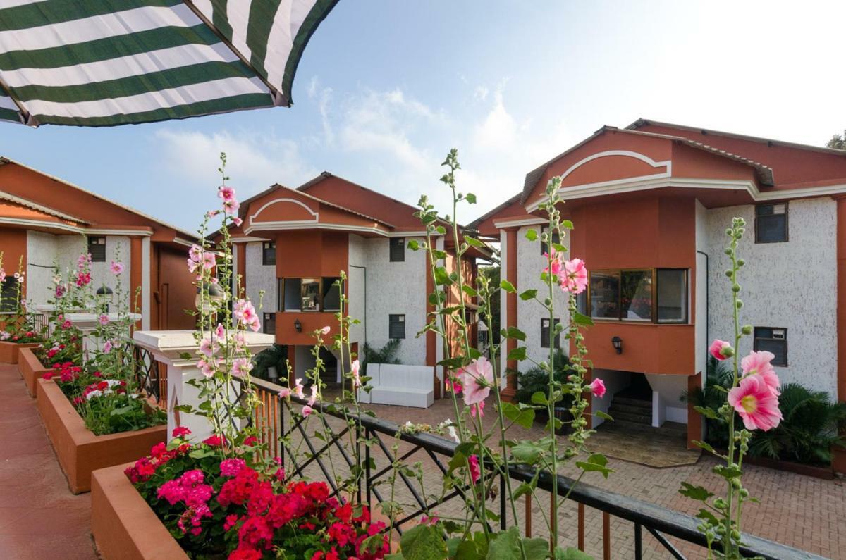 Hotel Dreamland 4*