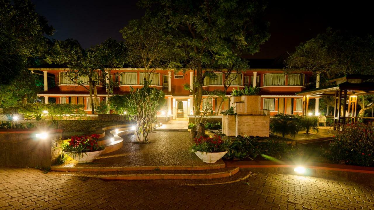 Dreamland 4*