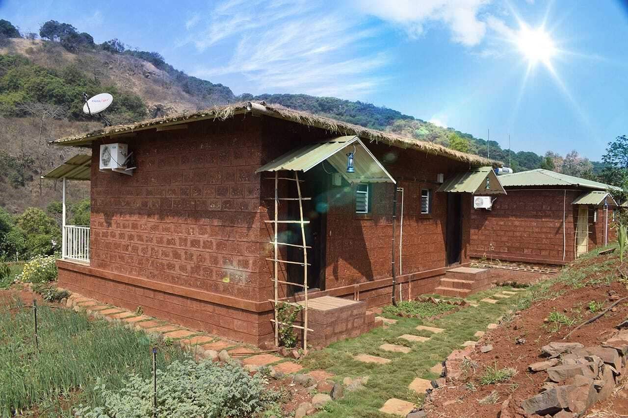 Jungle Valley Agriculture