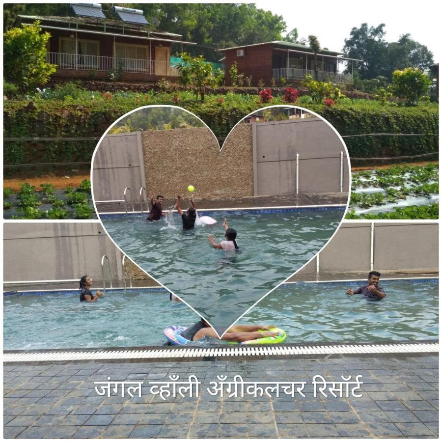 Jungle Valley Agriculture Holiday park 3*