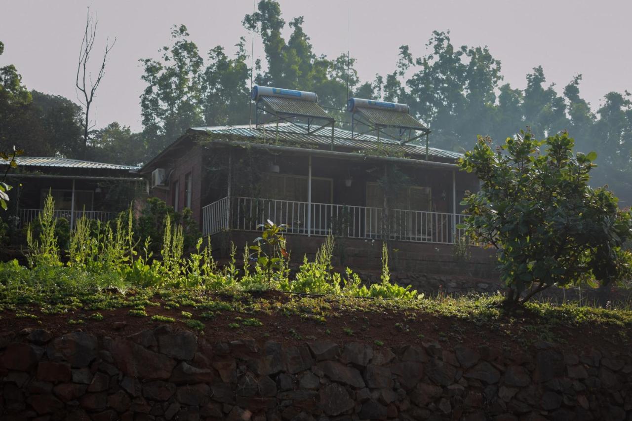 Jungle Valley Agriculture