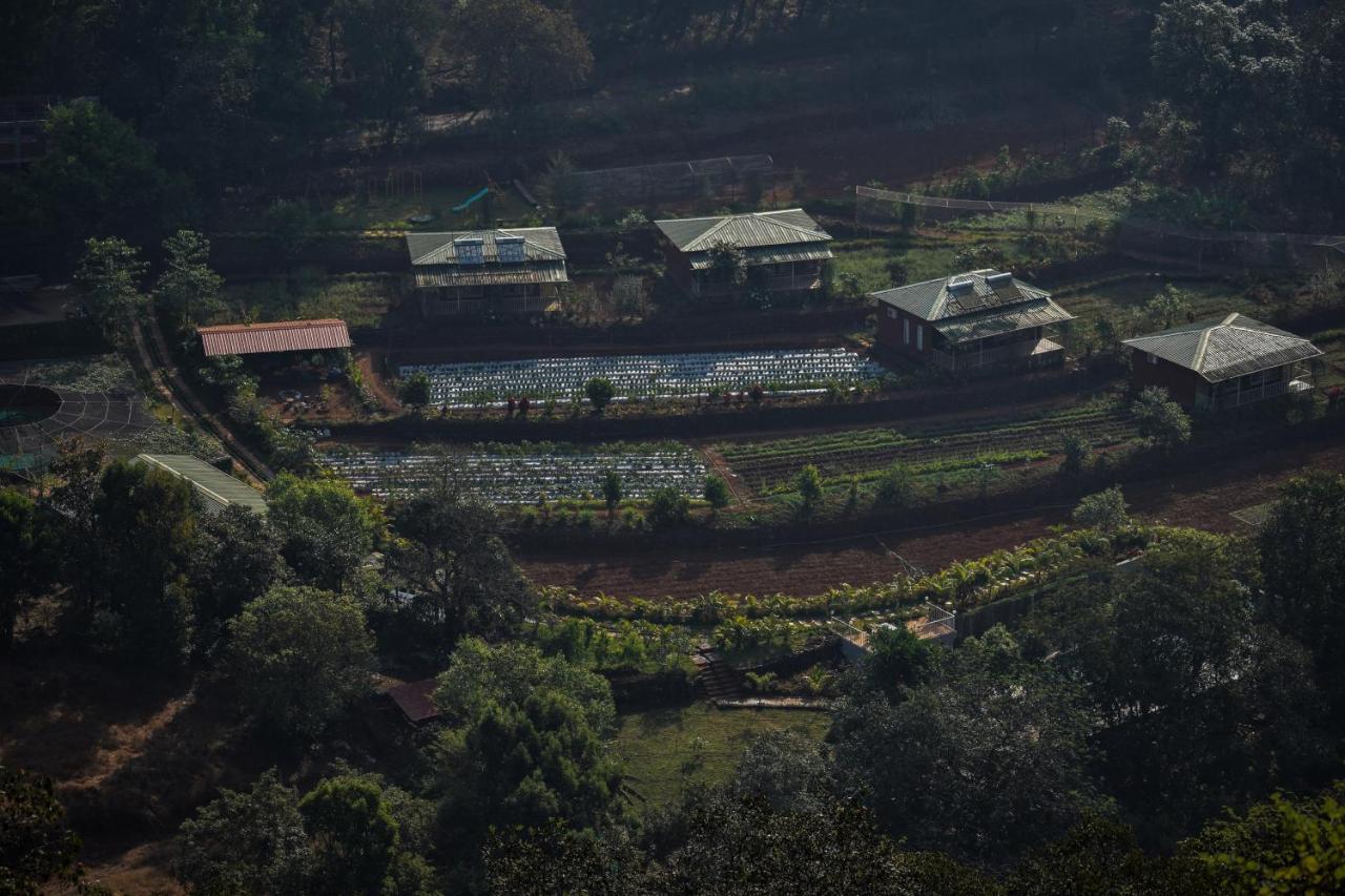 Jungle Valley Agriculture Holiday park