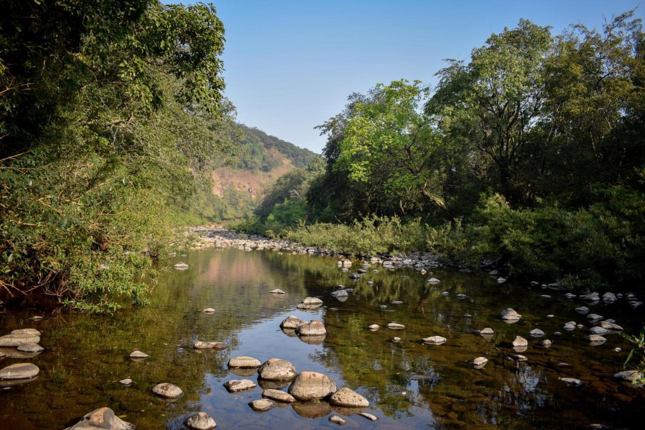 Jungle Valley Agriculture Holiday park