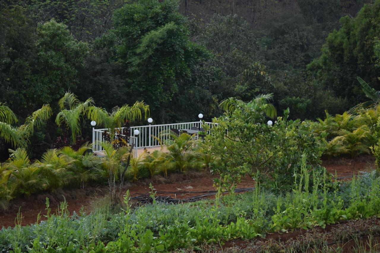 Jungle Valley Agriculture Holiday park 3*