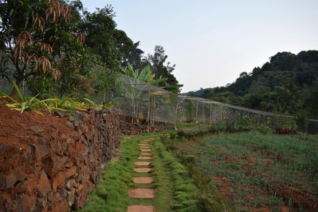 Jungle Valley Agriculture 3* Mahabaleshwar