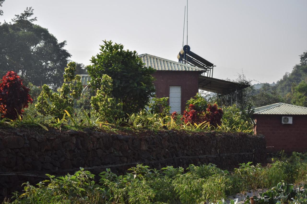 Jungle Valley Agriculture Mahabaleshwar