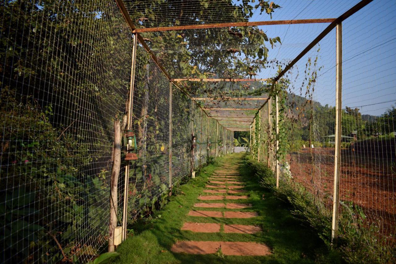 Jungle Valley Agriculture 3*