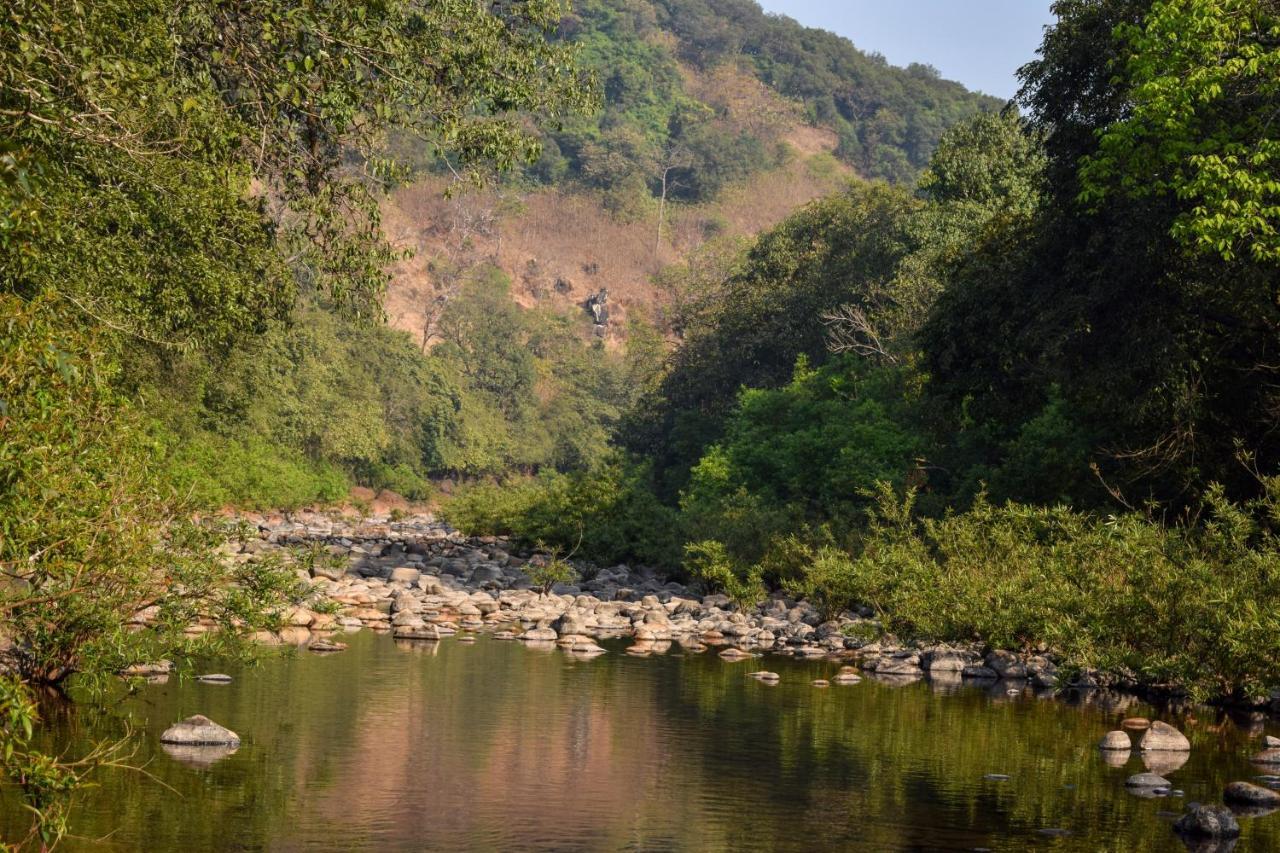 Jungle Valley Agriculture Holiday park